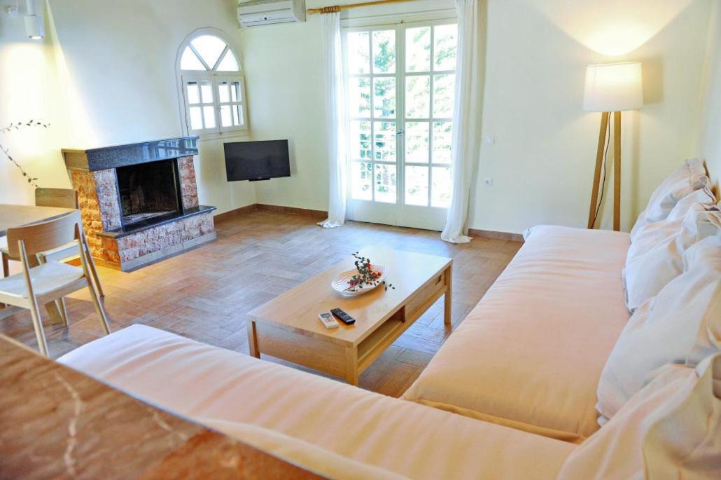 Villa Kastri Apartments Vasilikí Zewnętrze zdjęcie