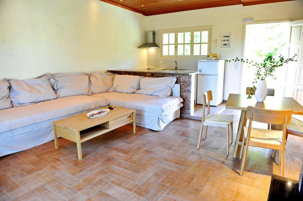 Villa Kastri Apartments Vasilikí Zewnętrze zdjęcie